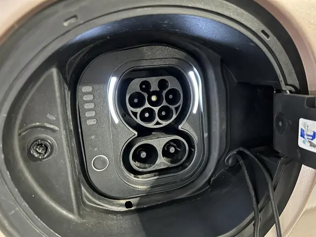 Fiat 500 Icon 42 kWh 2021 Elektrisch 30