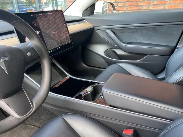 Tesla Model 3 Standard RWD Plus 60 kWh 2020 Elektrisch 9