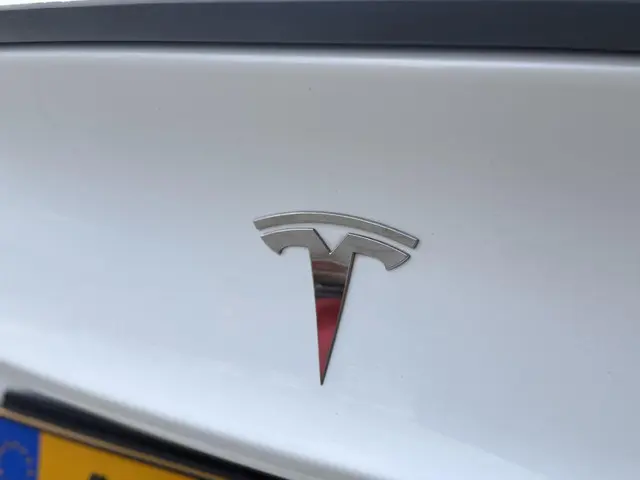Tesla Model 3 Long Range AWD 75 kWh 2021 Elektrisch 38