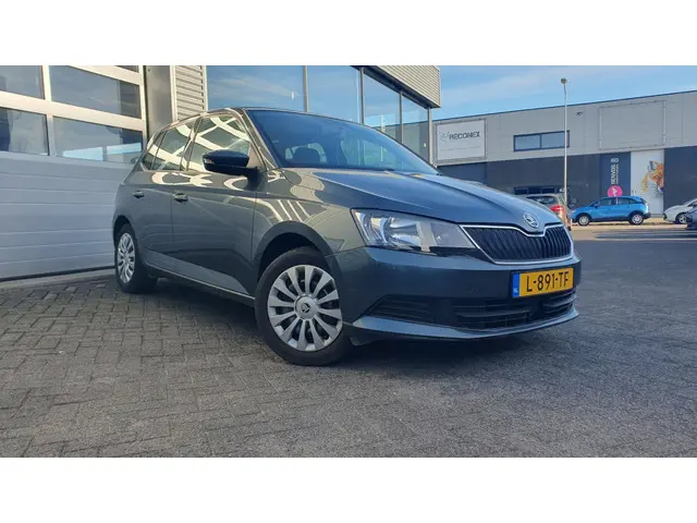 Škoda Fabia 1.2 TSI Monte Carlo 2017 Benzine 15