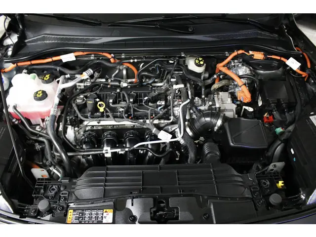 Ford Kuga 2.5 PHEV Vignale 2023 Hybride Benzine 48