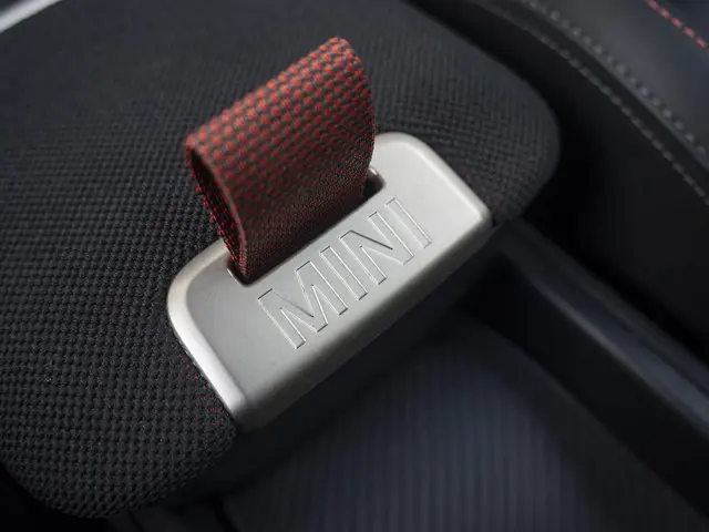 MINI Countryman E 2024 Elektrisch 29