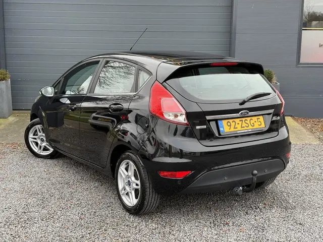 Ford Fiesta 1.0 EcoBoost Titanium 2013 Benzine