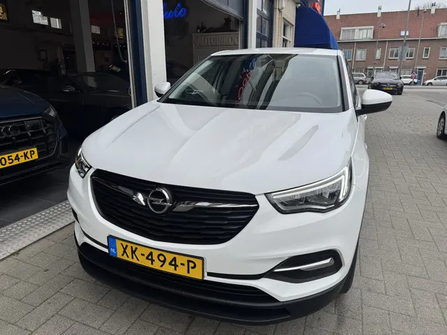 Opel Grandland X 3