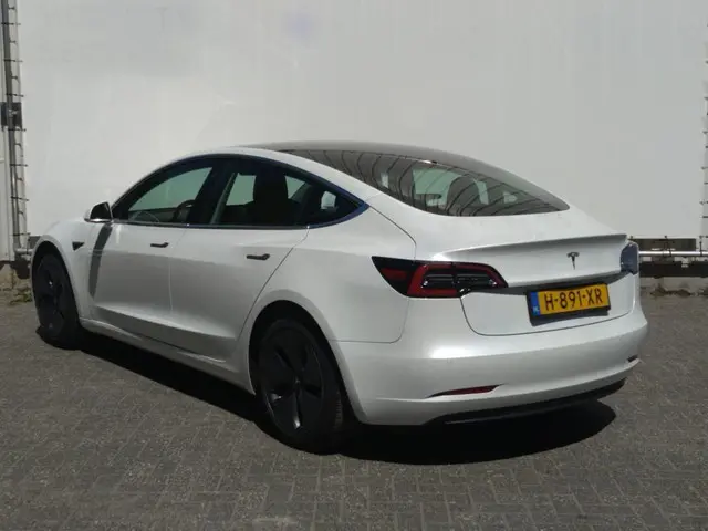 Tesla Model 3 Range Plus 2020 Elektrisch 5