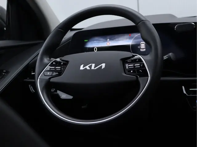Kia Niro EV ExecutiveLine 64.8 kWh 2022 Elektrisch 32