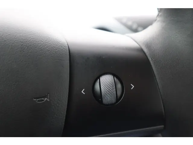 Tesla Model 3 Long Range AWD 75 kWh 2021 Elektrisch 25