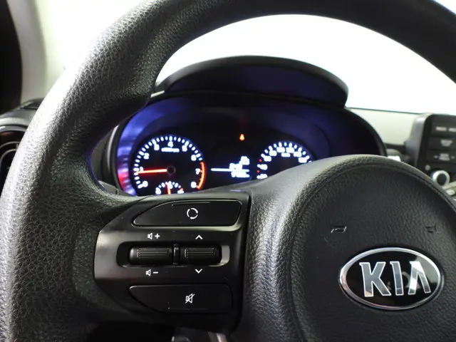 Kia Picanto 1.0 CVVT EconomyPlusLine 2017 Benzine 9