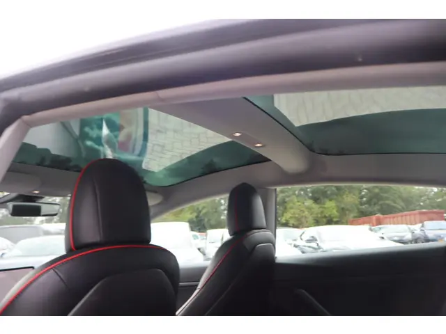 Tesla Model 3 Standard RWD Plus 60 kWh 2020 Elektrisch 19
