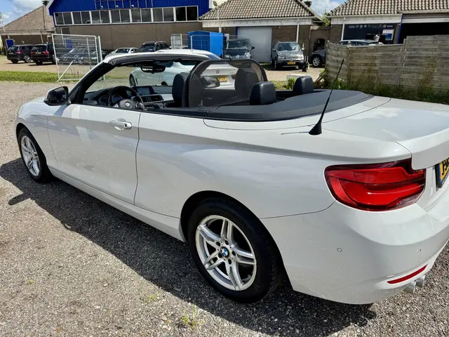 BMW 2 Serie Cabrio 220i Executive 2017 Benzine 14
