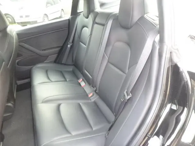 Tesla Model 3 Standard RWD Plus 60 kWh 2019 Elektrisch 15