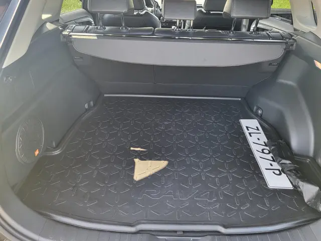 Toyota RAV4 2.0 VVT-iE Executive 2019 Benzine 14