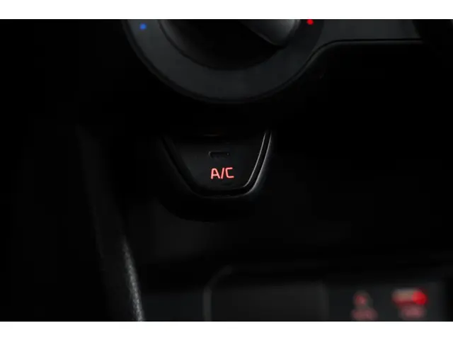 Kia Picanto 1.0 CVVT EconomyPlusLine 2019 Benzine 20