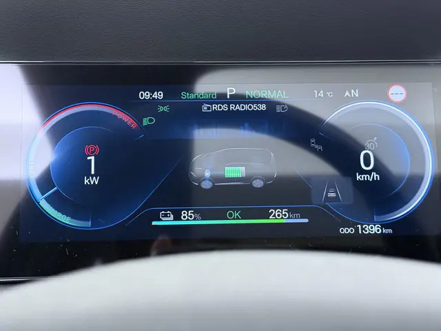 BYD ATTO 2 Boost 45 kWh 2024 Elektrisch 30