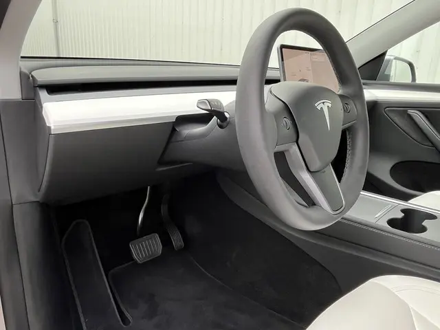 Tesla Model Y Long Range AWD 75 kWh 2023 Elektrisch 64