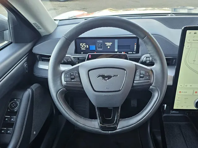 Ford Mustang Mach-E RWD 75 kWh 2021 Elektrisch 18