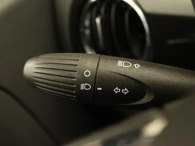 Fiat 500C 1.2 Lounge 2017 Benzine 31