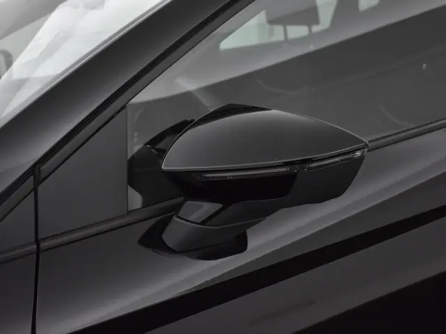 SEAT Ibiza 1.5 Tsi 150pk DSG Sport 2023 Benzine 31
