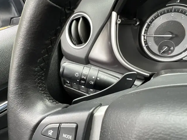 Suzuki Vitara 1.0 Boosterjet Select 2018 Benzine 30