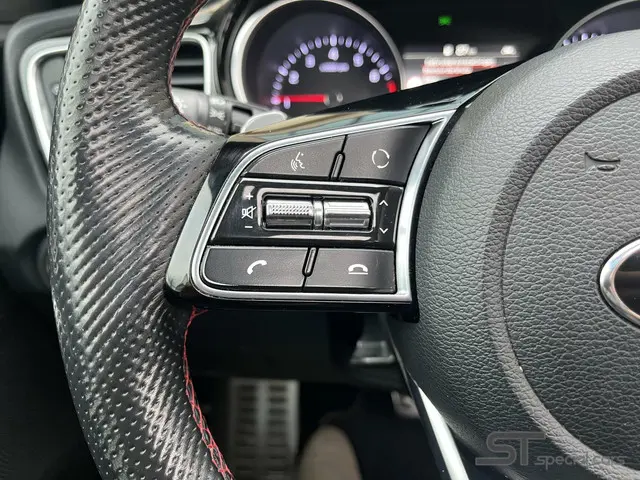 Kia ProCeed 1.6 T-GDI GT|Pano|dealer 2019 Benzine 19