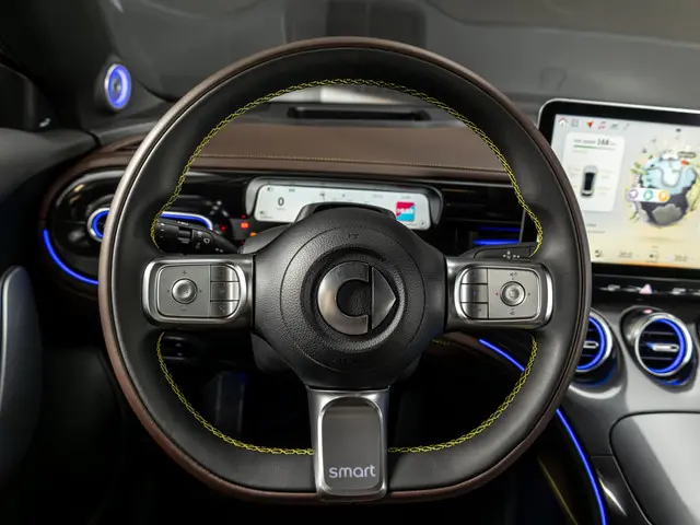 Smart #3 Premium 66 kWh 2025 Elektrisch 11