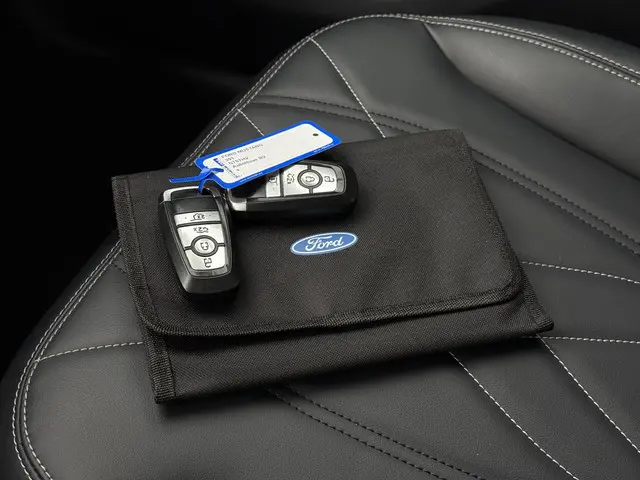 Ford Mustang Mach-E RWD 75 kWh 2021 Elektrisch 34