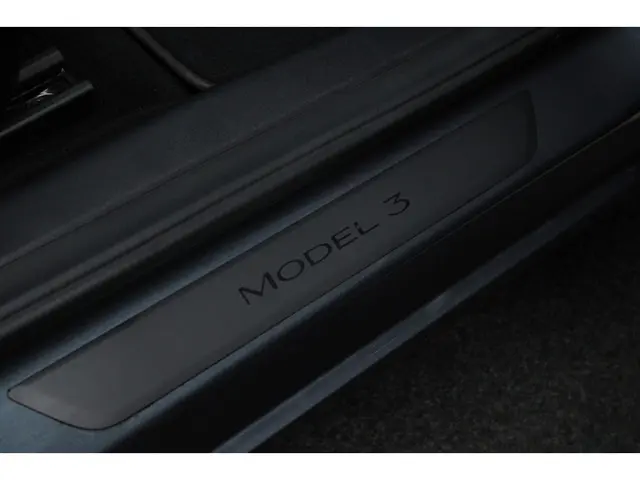 Tesla Model 3 RWD 2023 Elektrisch 15