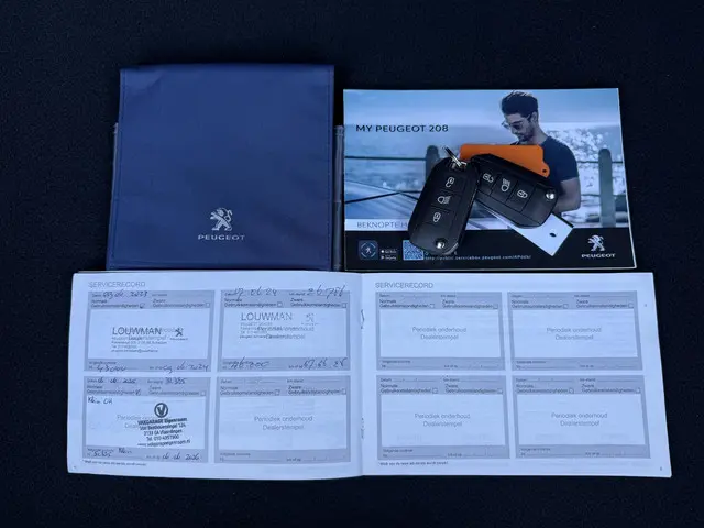 Peugeot 208 1.2 PureTech Active 2020 Benzine 30