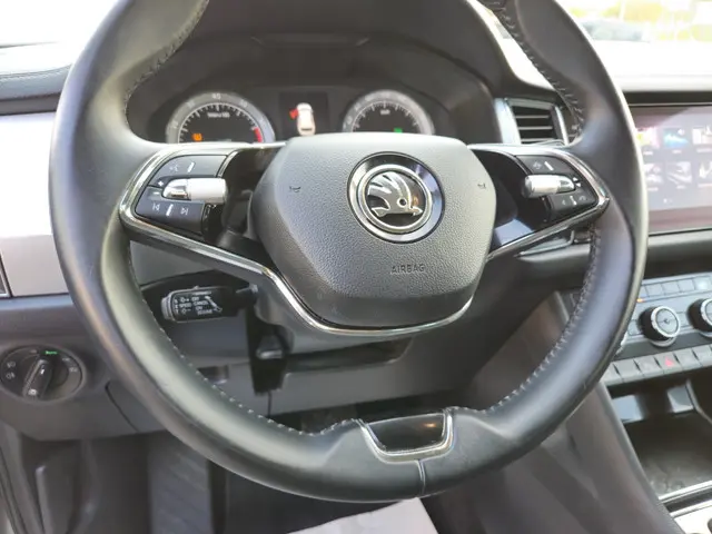 Škoda Kodiaq 1.5 TSI Business Edition 2023 Benzine 9