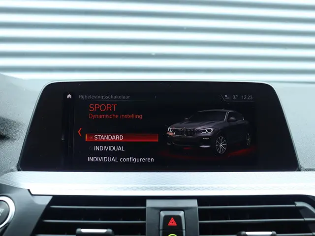 BMW X4 xDrive20i 2020 Benzine 29