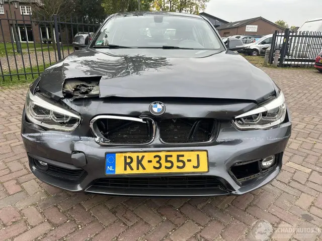 BMW 1 Serie 118i Executive 2017 Benzine 3