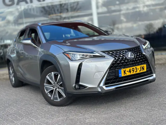 Lexus UX 300e Business 54 kWh 2020 Elektrisch 31