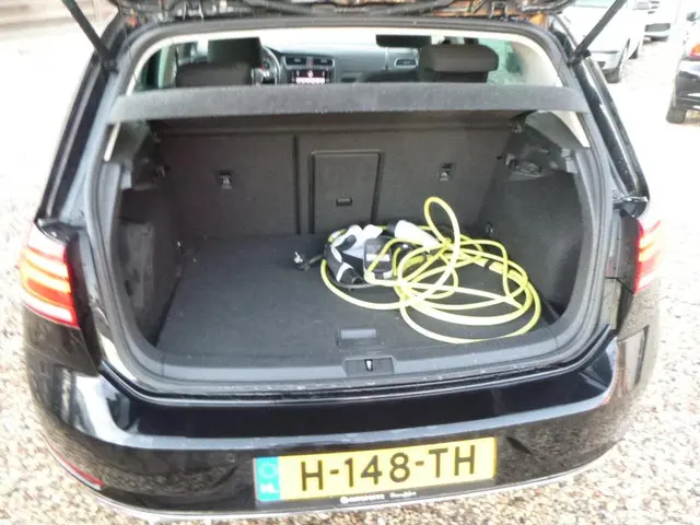 Volkswagen e-Golf E-DITION 2020 Elektrisch 10