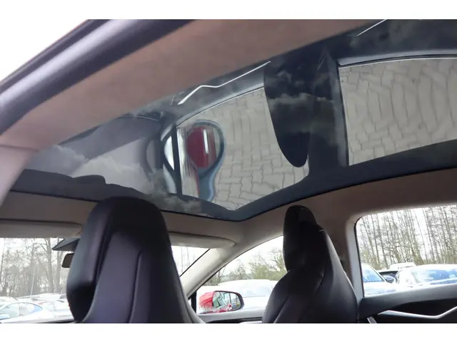 Tesla Model S 100D 2017 Elektrisch 8