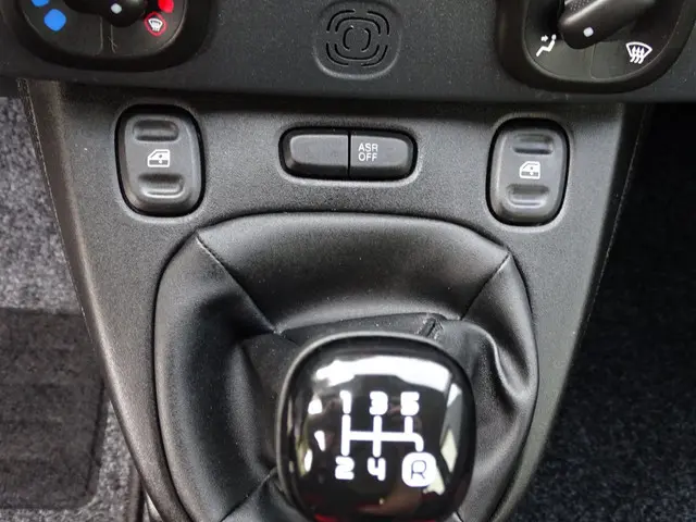 Fiat Panda 1.2 Popstar, 4 cilinder, NL auto 2016 Benzine 21