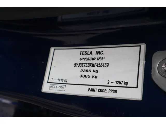 Tesla Model 3 Long Range AWD 75 kWh 2019 Elektrisch 21