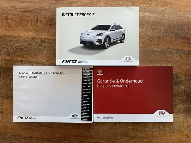 Kia e-Niro ExecutiveLine 64 kWh 2021 Elektrisch 47