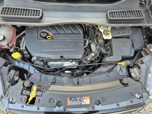 Ford Kuga 1.5 EcoBoost ST Line 2019 Benzine 52