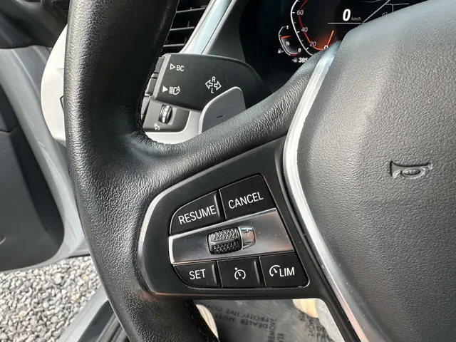 BMW Z4 Z4 sDrive20i *AC SCHNITZER LOOK* Aut. 2020 Benzine 18