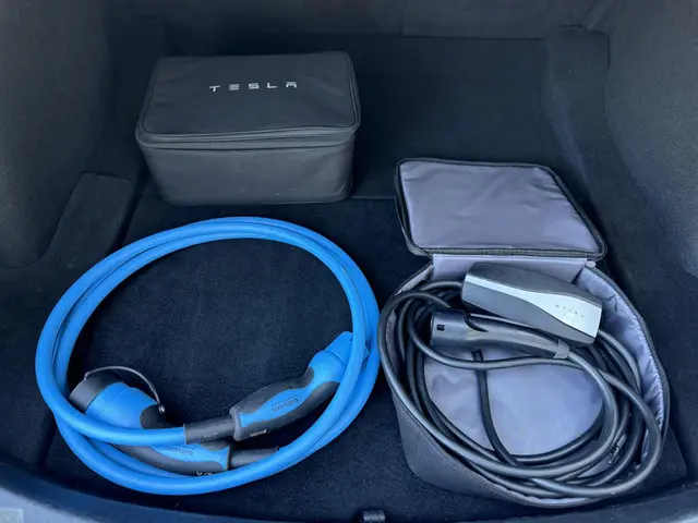 Tesla Model 3 Range Plus 2020 Elektrisch 9