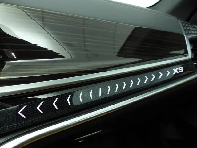 BMW X5 xDrive40i 2024 Benzine 21