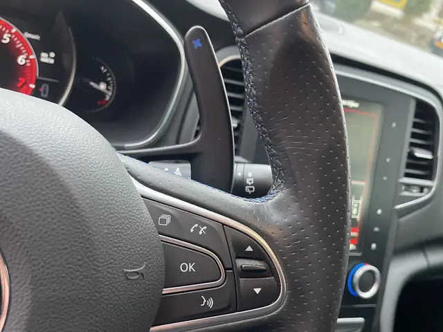 Renault Mégane 1.6 TCe GT 2016 Benzine 25