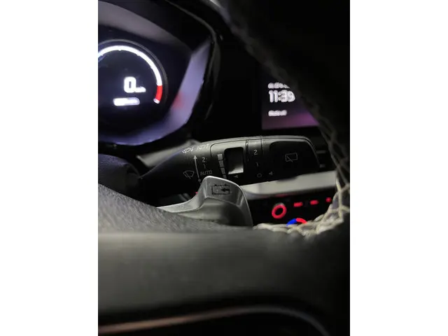 Kia e-Niro ExecutiveLine 64 kWh 2020 Elektrisch 28