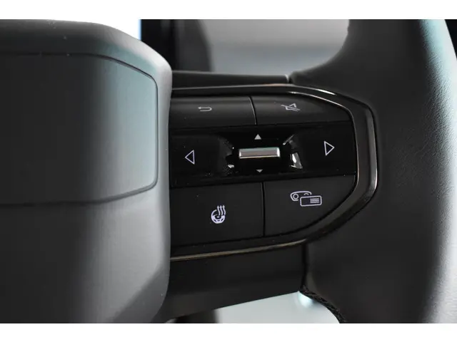 Farizon SV L2H2 83 kWh 2025 Elektrisch 19