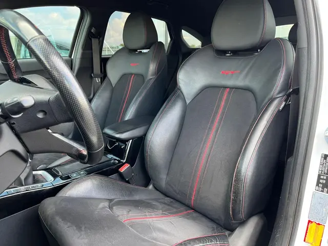 Kia ProCeed 1.6 T-GDI GT Apple Carplay PDC 2019 Benzine 26