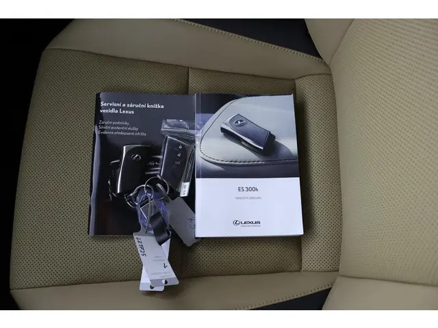 Lexus ES 300h Business Line 2024 Hybride Benzine 11