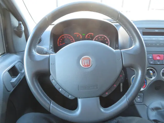 Fiat Panda 1.2 Edizione Cool 5 deurs airco 2011 Benzine 14