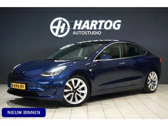 Tesla Model 3 Standard RWD Plus 60 kWh 2020 Elektrisch