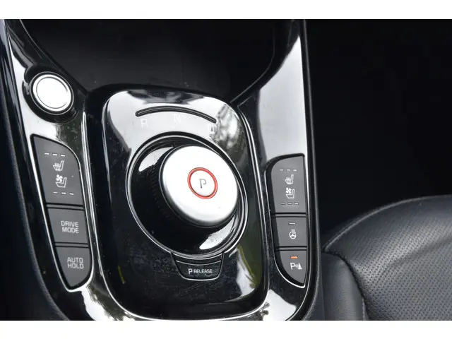 Kia e-Soul ExecutiveLine 64 kWh 2020 Elektrisch 12