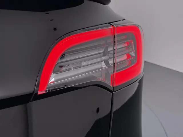 Tesla Model 3 Performance AWD 75 kWh 2019 Elektrisch 2